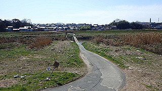 p3070096_thumb.jpg