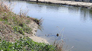 p3070107_thumb.jpg