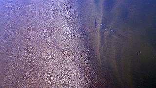 p3070110_thumb.jpg