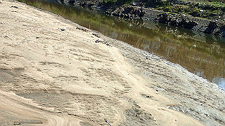 p3070111_thumb.jpg