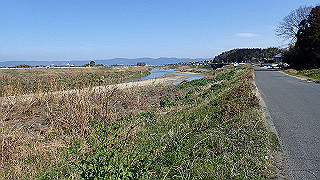 p3070113_thumb.jpg