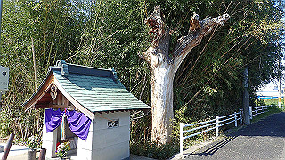 p3070138_thumb.jpg