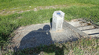 p3070146_thumb.jpg