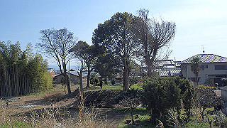 p3070147_thumb.jpg