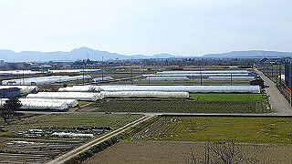 p3070187_thumb.jpg