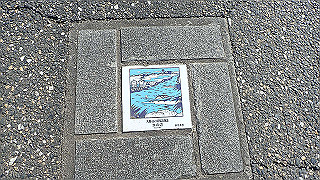 p3070189_thumb.jpg