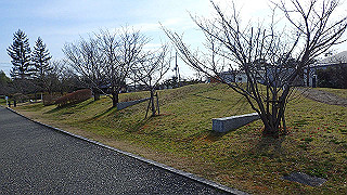 p3070196_thumb.jpg