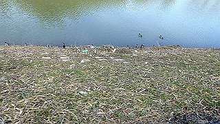 p3070199_thumb.jpg