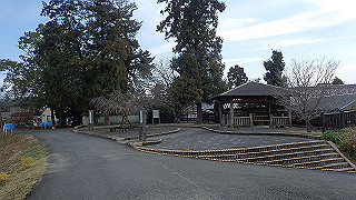 p3070216_thumb.jpg
