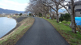p3070219_thumb.jpg