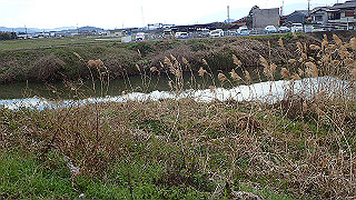 p3070227_thumb.jpg