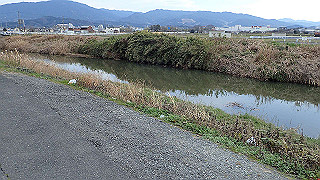p3070228_thumb.jpg