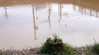 p3070237_thumb.jpg