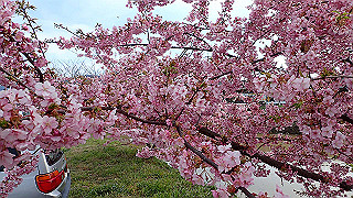 p3070240_thumb.jpg