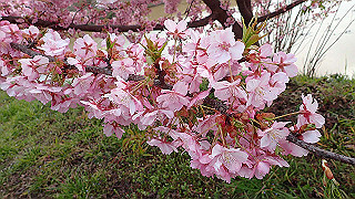 p3070241_thumb.jpg
