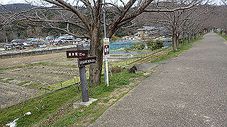 p3070249_thumb.jpg