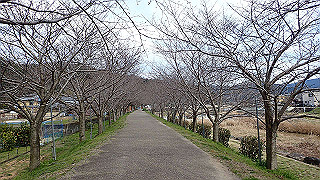 p3070250_thumb.jpg
