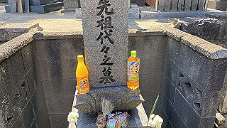 20200324_035124998_ios_thumb.jpg