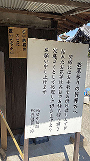 20200324_040513491_ios_thumb.jpg