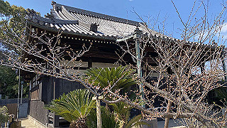 20200324_040714755_ios_thumb.jpg