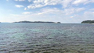 20200324_061758559_ios_thumb.jpg