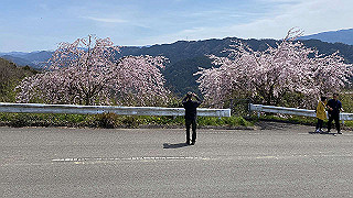 20200326_025529430_ios_thumb.jpg