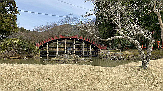 20200326_044417718_ios_thumb.jpg