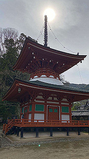 20200326_050844840_ios_thumb.jpg