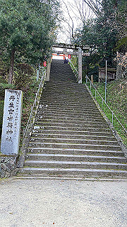 20200326_051203807_ios_thumb.jpg