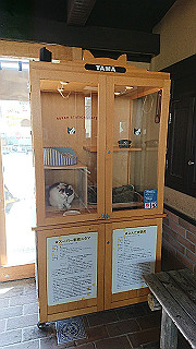 20200326_120230938_ios_thumb.jpg