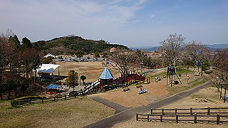 20200326_120231798_ios_thumb.jpg