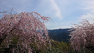 20200326_120232935_ios_thumb.jpg