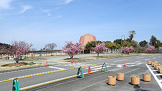 p3260298_thumb.jpg