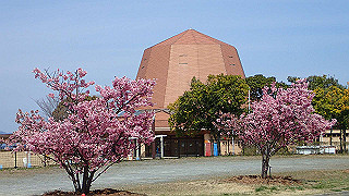 p3260299_thumb.jpg