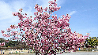 p3260300_thumb.jpg
