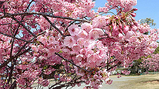 p3260301_thumb.jpg