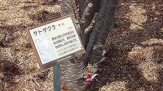 p3260302_thumb.jpg