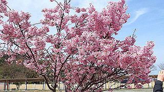 p3260303_thumb.jpg