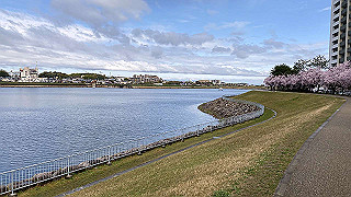 20200329_001249780_ios_thumb.jpg