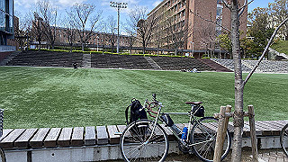 20200329_035650265_ios_thumb.jpg