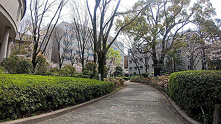 gx010303.mp4_snap_thumb.jpg