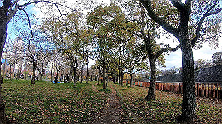 gx010314.mp4_snap_thumb.jpg