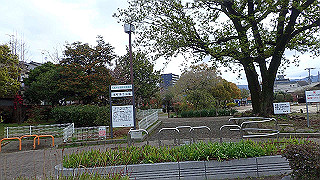 p3290317_thumb.jpg