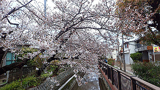 p3290319_thumb.jpg