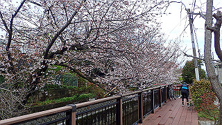 p3290321_thumb.jpg