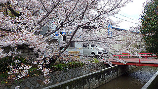 p3290322_thumb.jpg