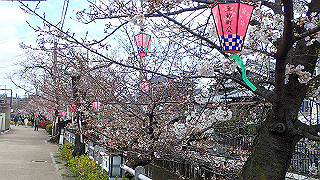 p3290326_thumb.jpg