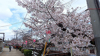 p3290327_thumb.jpg
