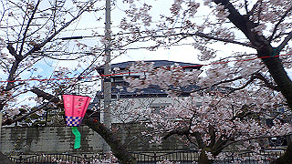 p3290328_thumb.jpg