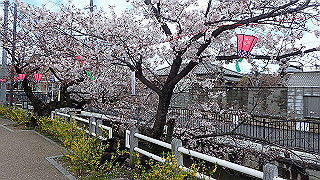 p3290329_thumb.jpg